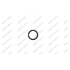  Кольцо резиновое плунжера V3.5 (Rubber plunger ring d20mm) мни (0)