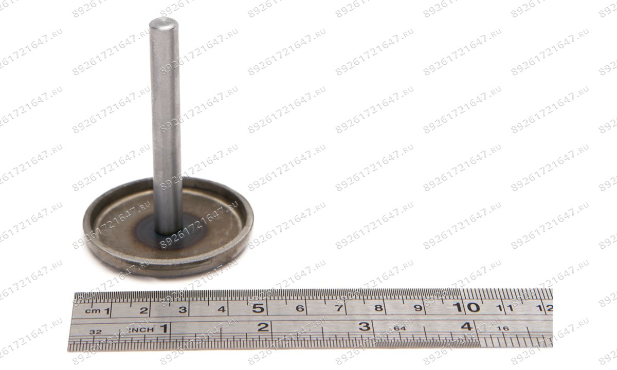  Плунжер пневмонасоса (Plunger Rod) S30-2EL, S40-2EL (1)