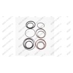  Ремкомплект гидроцилиндра (Full sealing of oil cylinder) S50-2J мни (0)