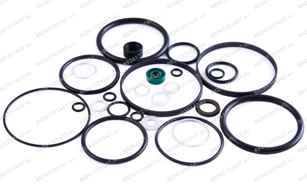  Ремкомплект пневмонасоса (Full sealing of pump) S30-2EL (1)