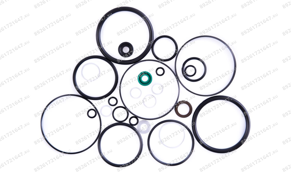  Ремкомплект пневмонасоса (Full sealing of pump) S30-2EL (0)