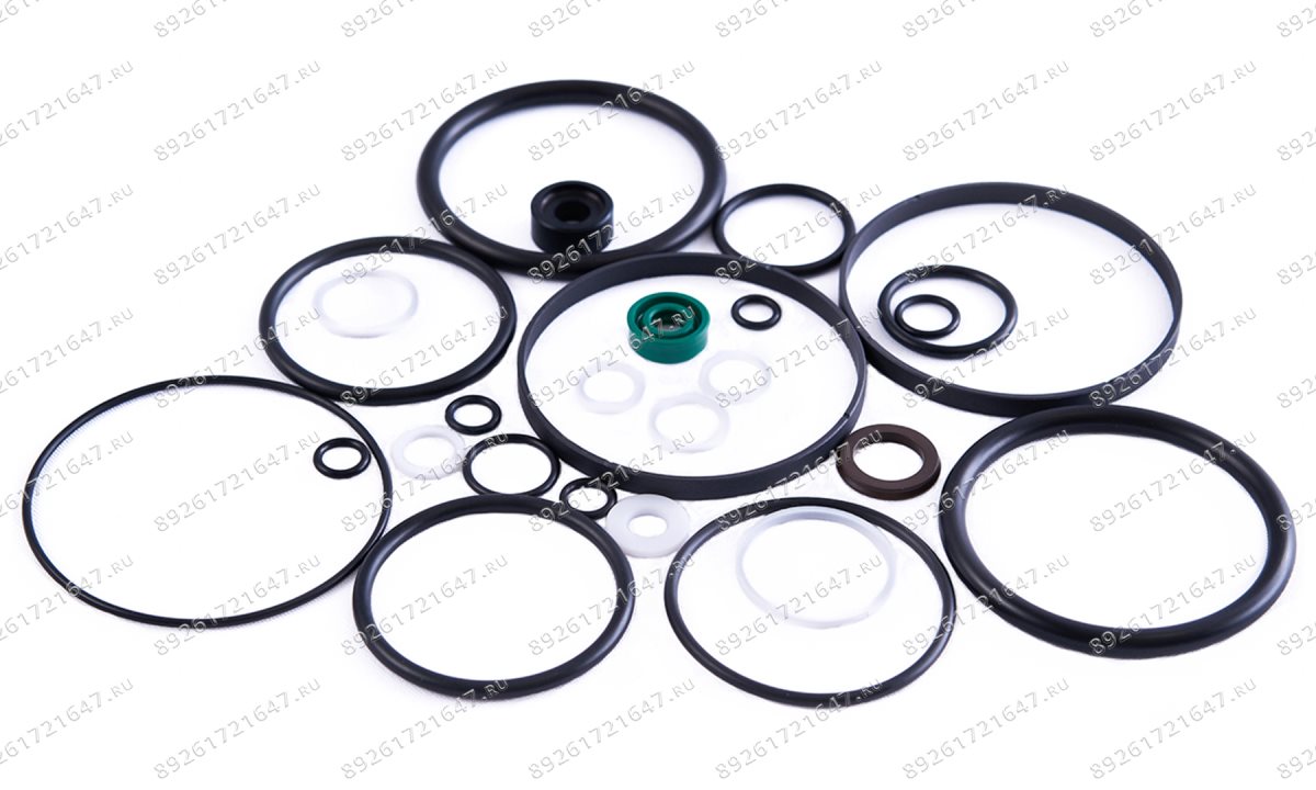  Ремкомплект пневмонасоса (Full sealing of pump) S30-2EL (1)