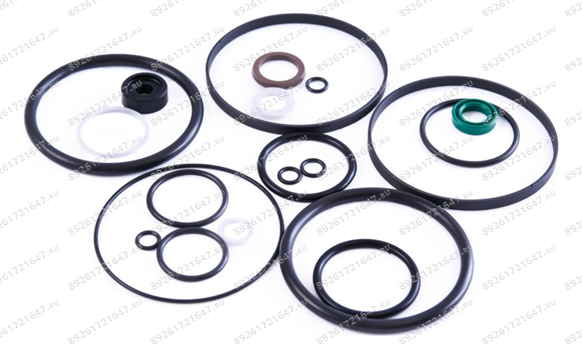  Ремкомплект пневмонасоса (Full sealing of pump) S50-3J (1)
