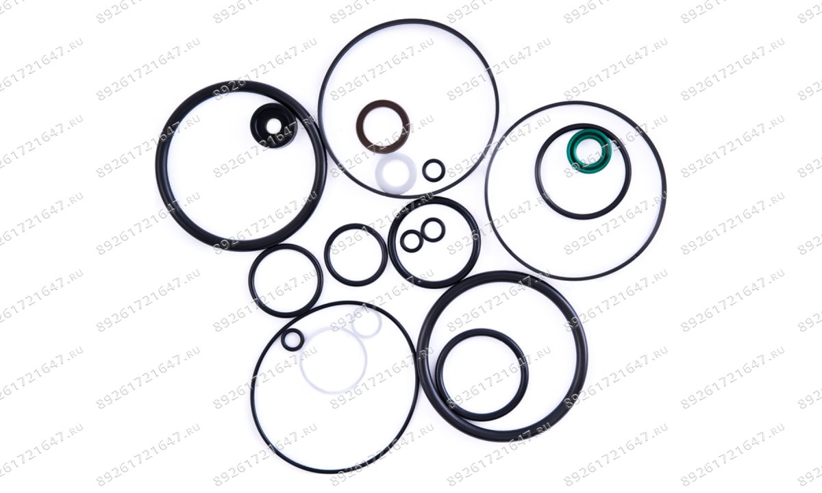  Ремкомплект пневмонасоса (Full sealing of pump) S50-3J (0)