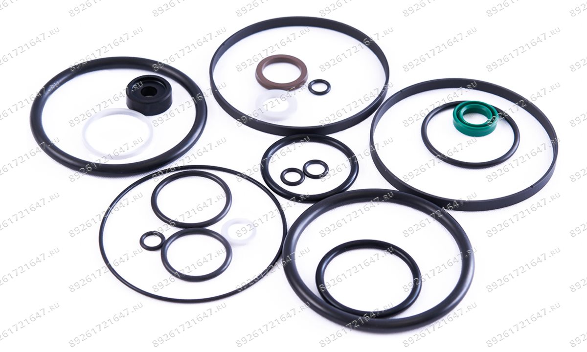  Ремкомплект пневмонасоса (Full sealing of pump) S50-3J (1)