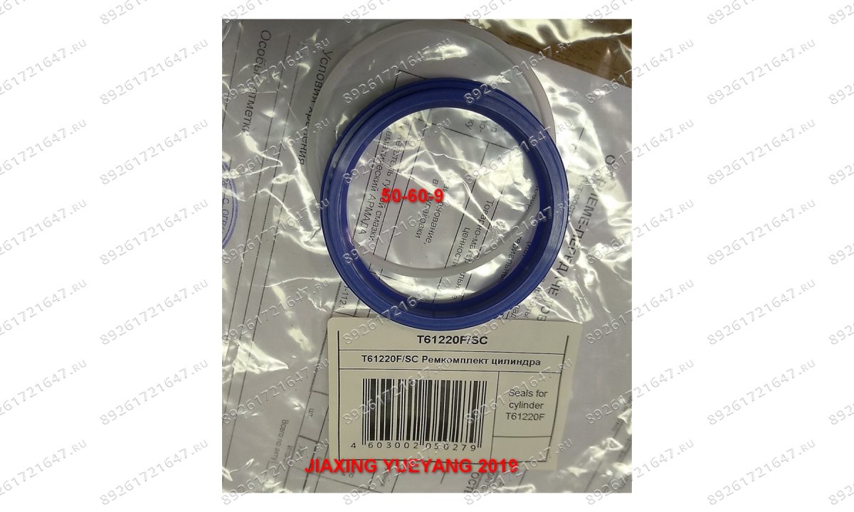  T61220F/SC Ремкомплект цилиндра (0)