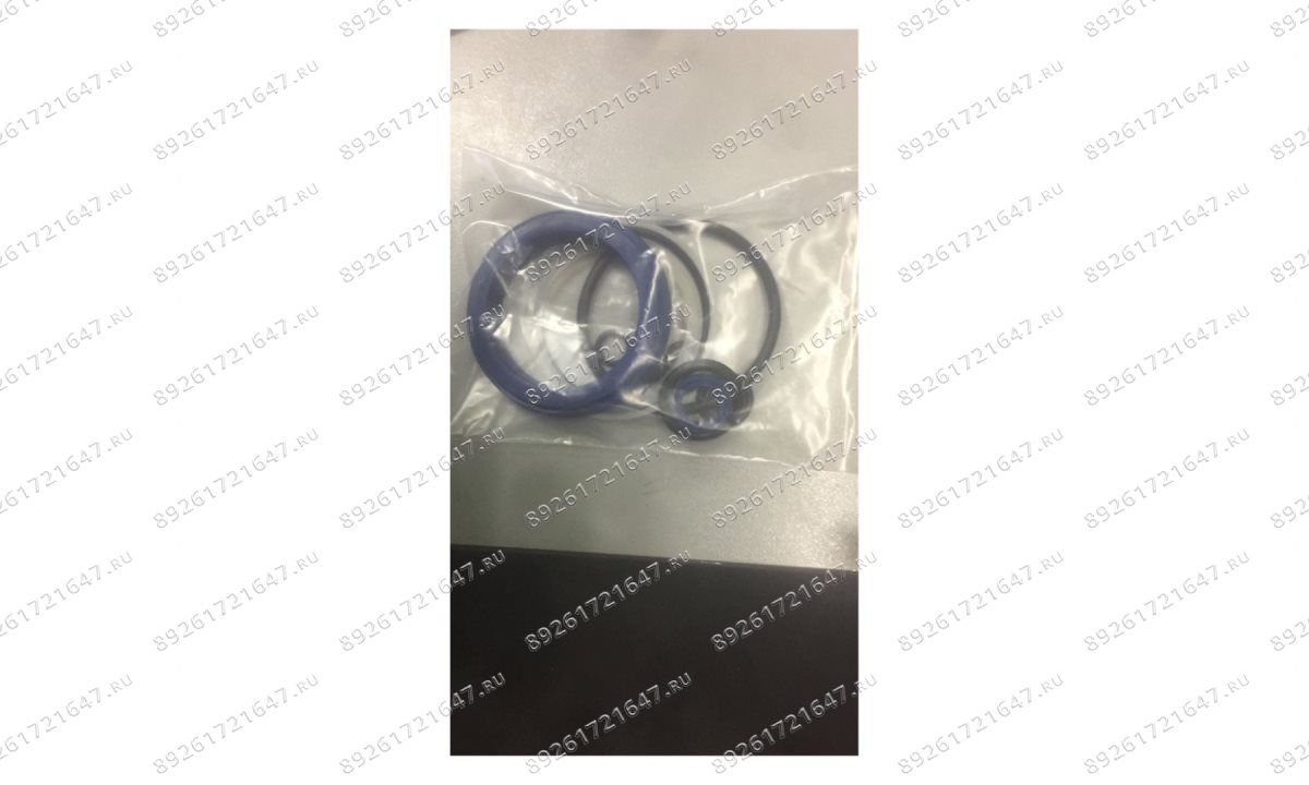  T61220F/SS Ремкомплект пресса (0)