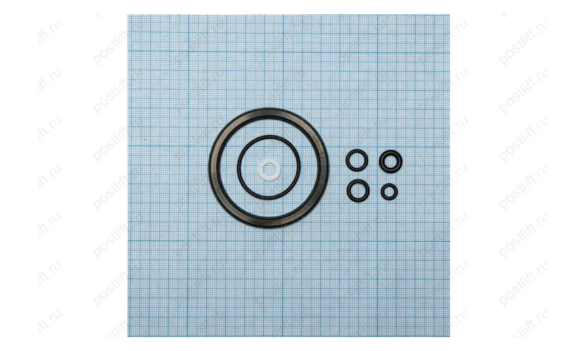 Ремкомплект насоса SD0813CE фото