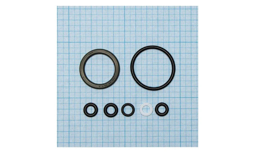 Ремкомплект насоса SD0824 фото