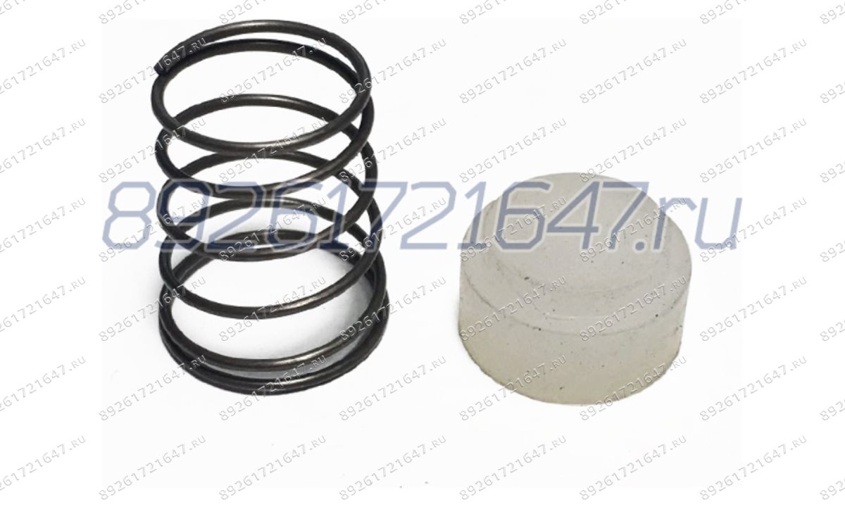  Поршень с пружиной на обратный клапан компрессора D=15 мм (0)