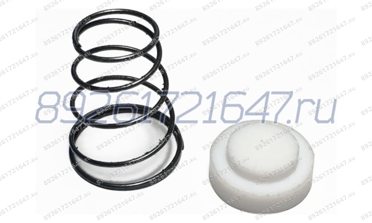  Поршень с пружиной на обратный клапан компрессора D=20 мм (0)