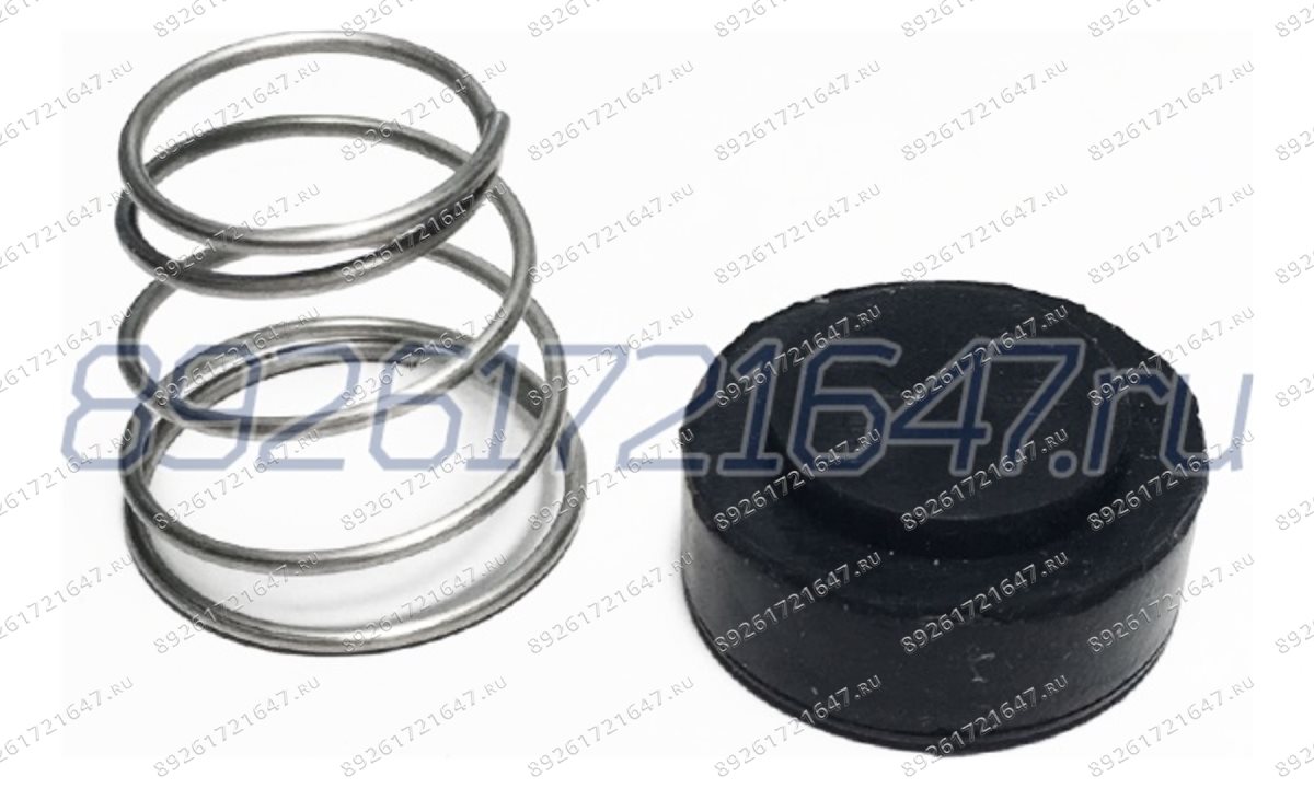  Поршень с пружиной на обратный клапан компрессора D=25,3 мм (0)