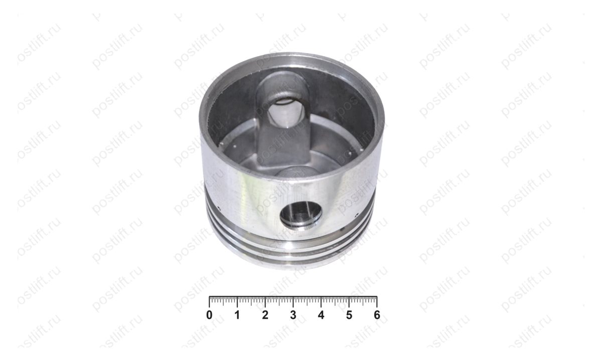  Поршень для RP103100 (0)