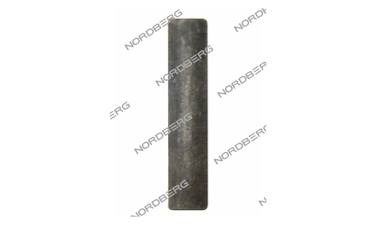  Пластина клапанная для NORDBERG NCE50/280 NCE280#V-REED (0)