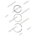  NORDBERG ЗАПЧАСТЬ КОМПЛЕКТ ПОРШНЕВЫХ КОЛЕЦ на один поршень для NCE50/410V NCE50/410V#PSs мни (0)