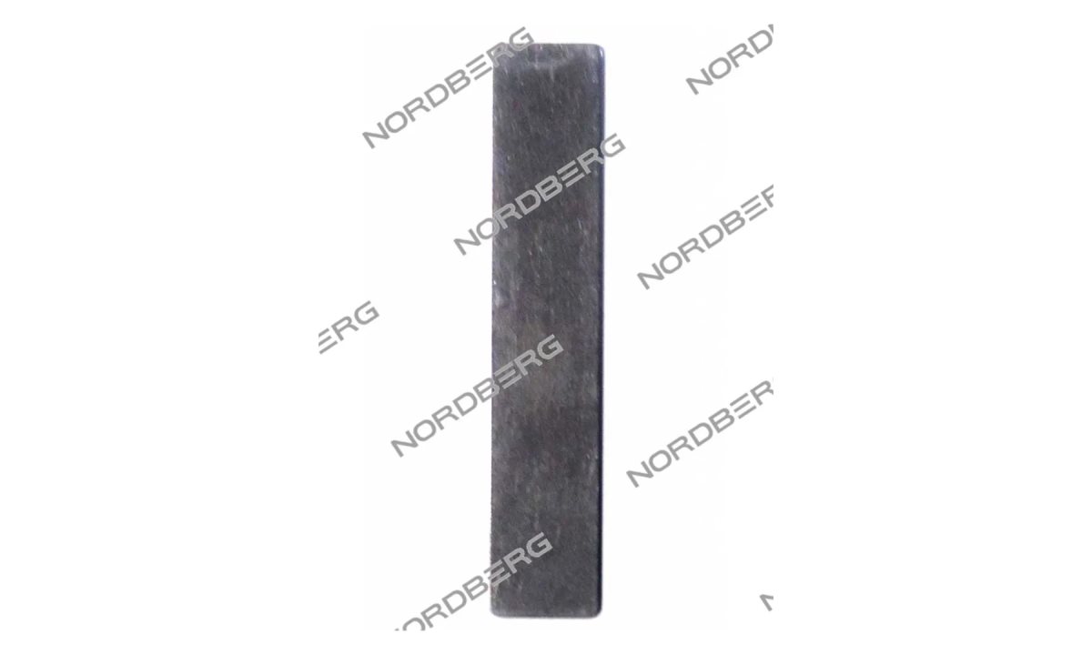  Пластина клапанная для NCE300/810 NCE810/1050#V-REED (0)