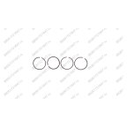  Комплект поршневых колец D55 LТ100 мни (0)