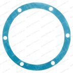  21152005 Прокладка крышки подшипника для LB-50-2, LB-75-2 мни (1)