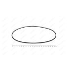  Кольцо уплотнительное колбы для UZM80 мни (0)