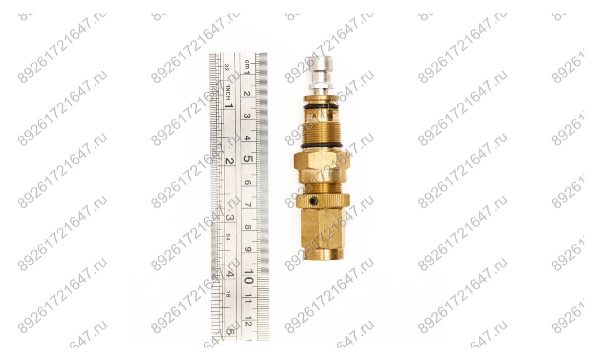  Регулятор давления в сборе (Regulator assy №101) TMHPC-3500C, TMHPC-4500C (0)