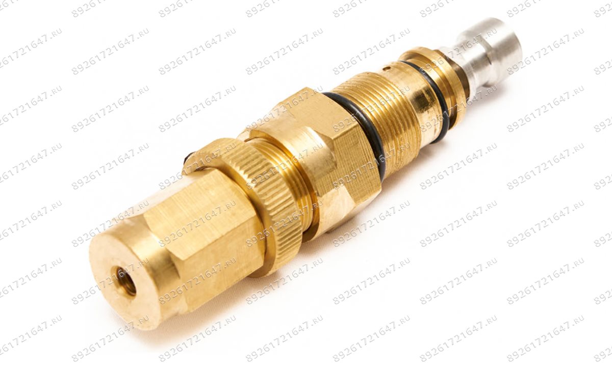  Регулятор давления в сборе (Regulator assy №101) TMHPC-3500C, TMHPC-4500C (1)