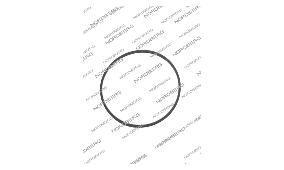  NORDBERG ЗАПЧАСТЬ УПЛОТНЕНИЯ СЕПАРАТОРА для NF12, NF22 NF12/NF22#RING (0)