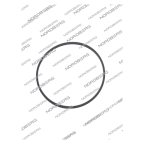  NORDBERG ЗАПЧАСТЬ УПЛОТНЕНИЯ СЕПАРАТОРА для NF12, NF22 NF12/NF22#RING мни (0)