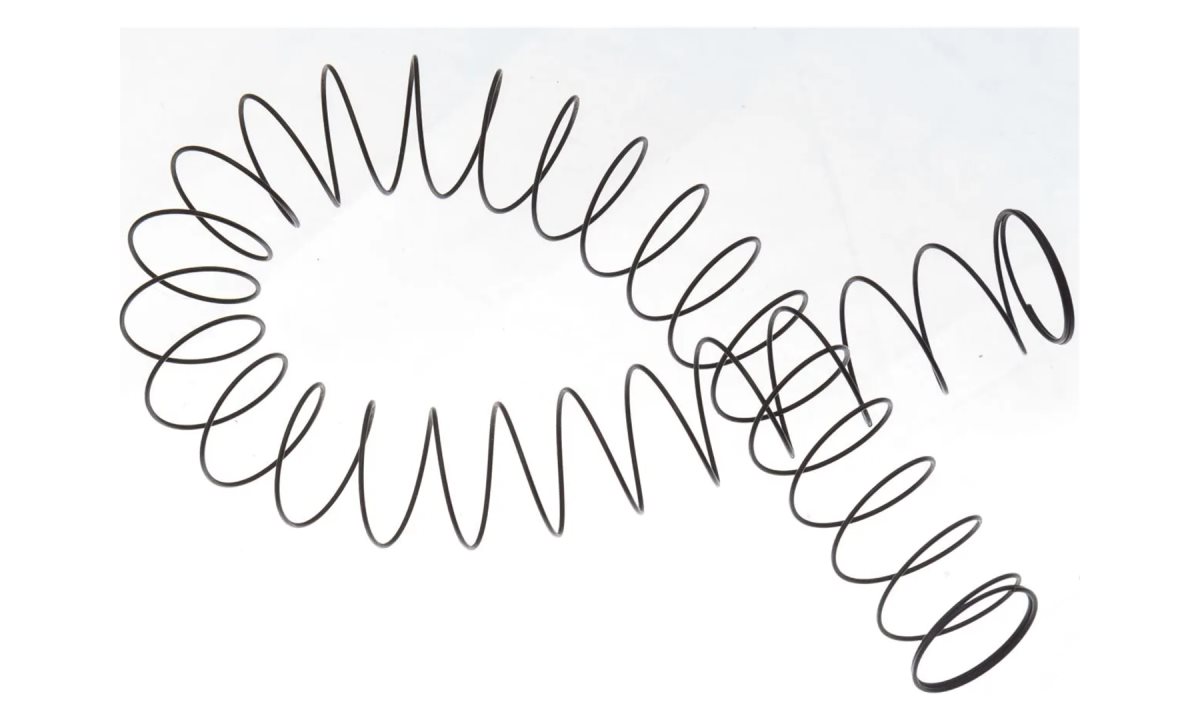  C301010405 Пружина рейки (0)