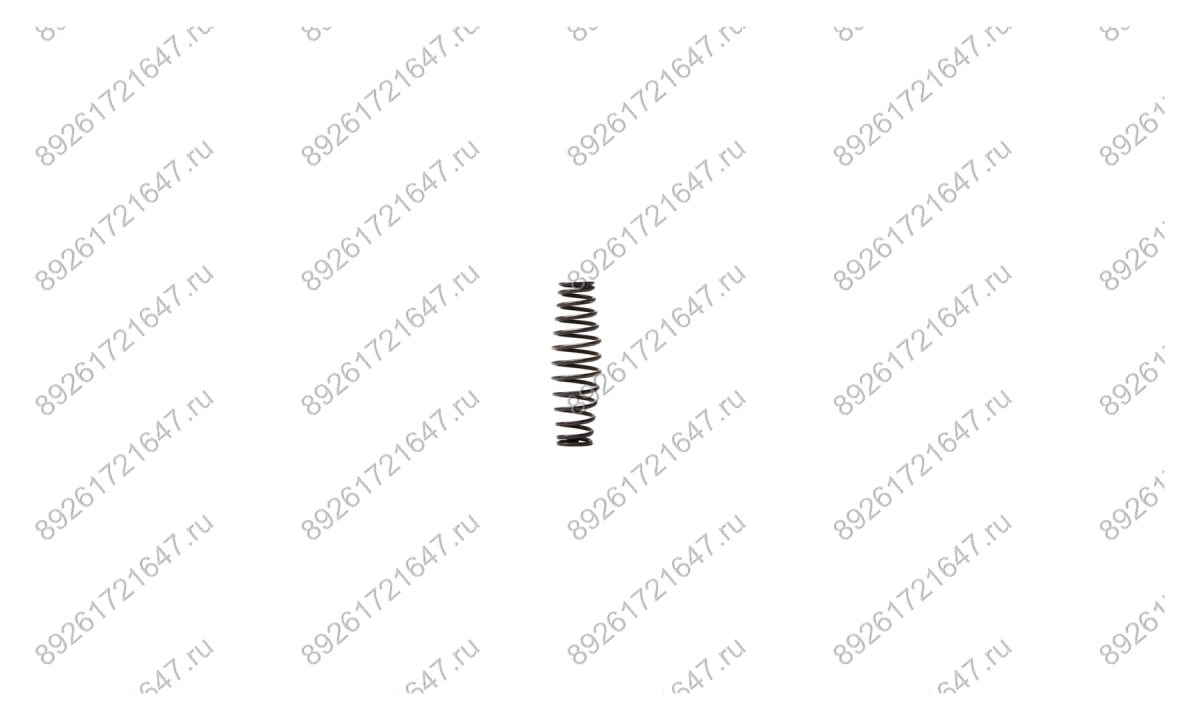  Пружина RT-5567(Inlet Spring) поз.30 (0)