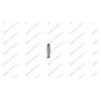 Пружина RT-5567(Inlet Spring) поз.30 фото