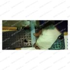  M-209BP1P2/10 Буфер отбортовщика резиновый мни (4)