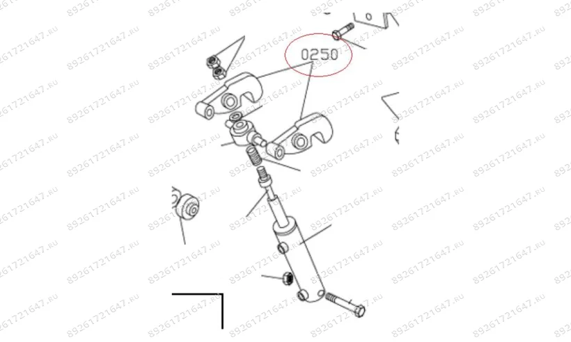 MT-298/0250 Храповик фото