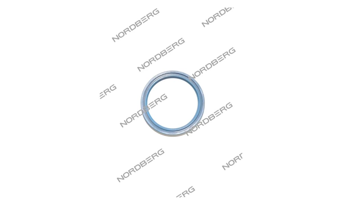  NORDBERG ЗАПЧАСТЬ ШМС УПЛОТНЕНИЕ вала для 46TRK46 000010042 (0)