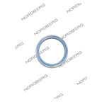  NORDBERG ЗАПЧАСТЬ ШМС УПЛОТНЕНИЕ вала для 46TRK46 000010042 мни (0)