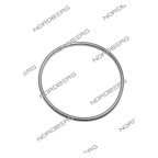  NORDBERG ЗАПЧАСТЬ КОЛЬЦО уплотнительное (233) для 46TRKE42 46TRKE42#233 мни (0)