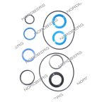  NORDBERG ЗАПЧАСТЬ РЕМКОМПЛЕКТ гидравлического цилиндра (3008) (ф95) для 46TRKE42 46TRKE42#3008 мни (0)