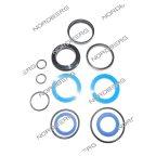  NORDBERG ЗАПЧАСТЬ РЕМКОМПЛЕКТ гидравлического цилиндра (3009) (ф50) для 46TRKE42 46TRKE42#3009 мни (0)