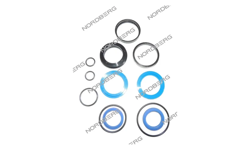 NORDBERG ЗАПЧАСТЬ РЕМКОМПЛЕКТ гидравлического цилиндра (3009) (ф50) для 46TRKE42 46TRKE42#3009 фото