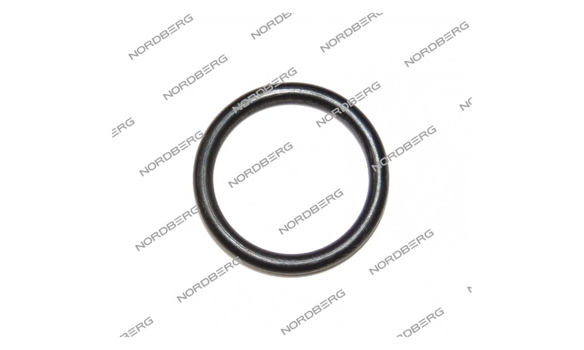  Кольцо 5006447 20х2,65 для NORDBERG 46TRK 5006447 (GB3452·1-20?2·65-G) (0)