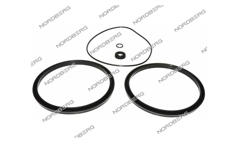 Ремкомплект для отжимного цилиндра для 4638, 4639,5ID, 4640ID NORDBERG CT-LS-1110000 фото