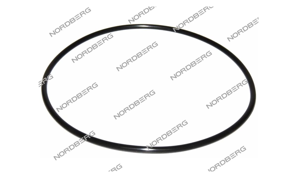  Прокладка (180*5) цилиндра отжимного для NORDBERG 4638E/4641 X001625 (200-308) (0)