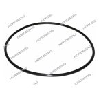  Прокладка (180*5) цилиндра отжимного для NORDBERG 4638E/4641 X001625 (200-308) мни (0)