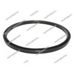  Прокладка (185*168*10,8) цилиндра отжимного для NORDBERG 4638E X001626 (311) мни (0)