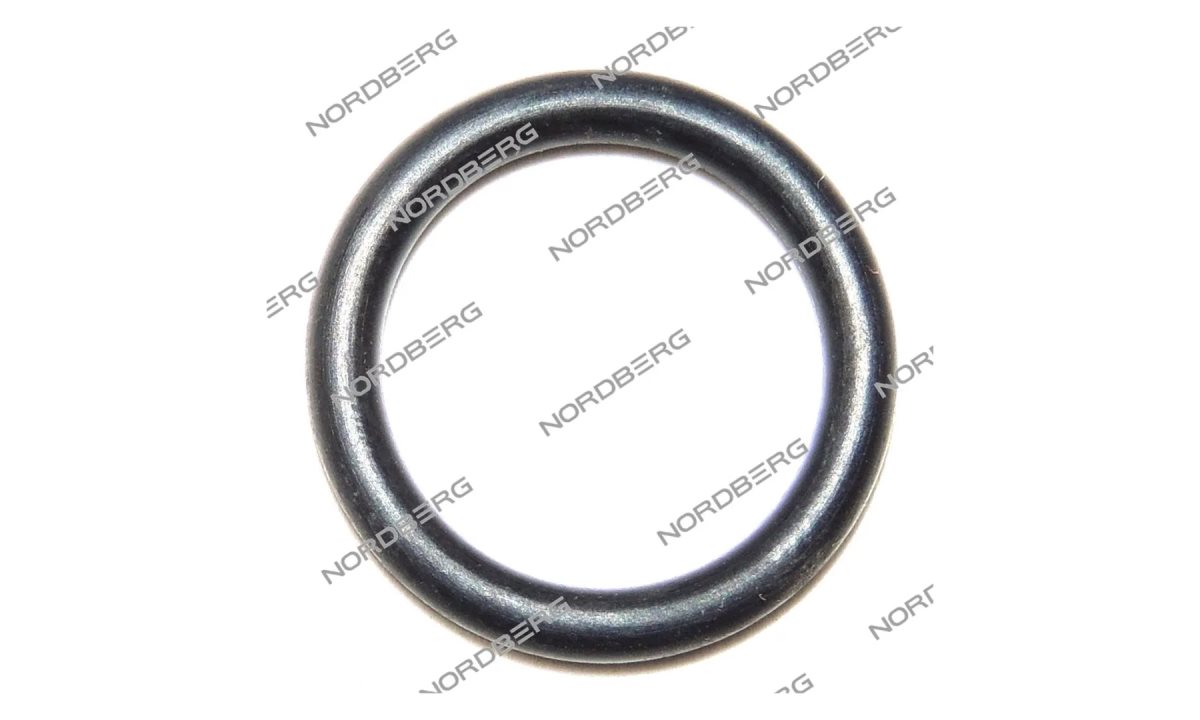  Прокладка (16*2,65) цилиндра отжимного для NORDBERG 4638E X001797 (306) (0)