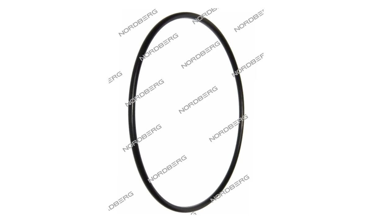  Прокладка (170.8*5.33) цилиндра отжимного для 4638E NORDBERG X003545 (200-321) (0)
