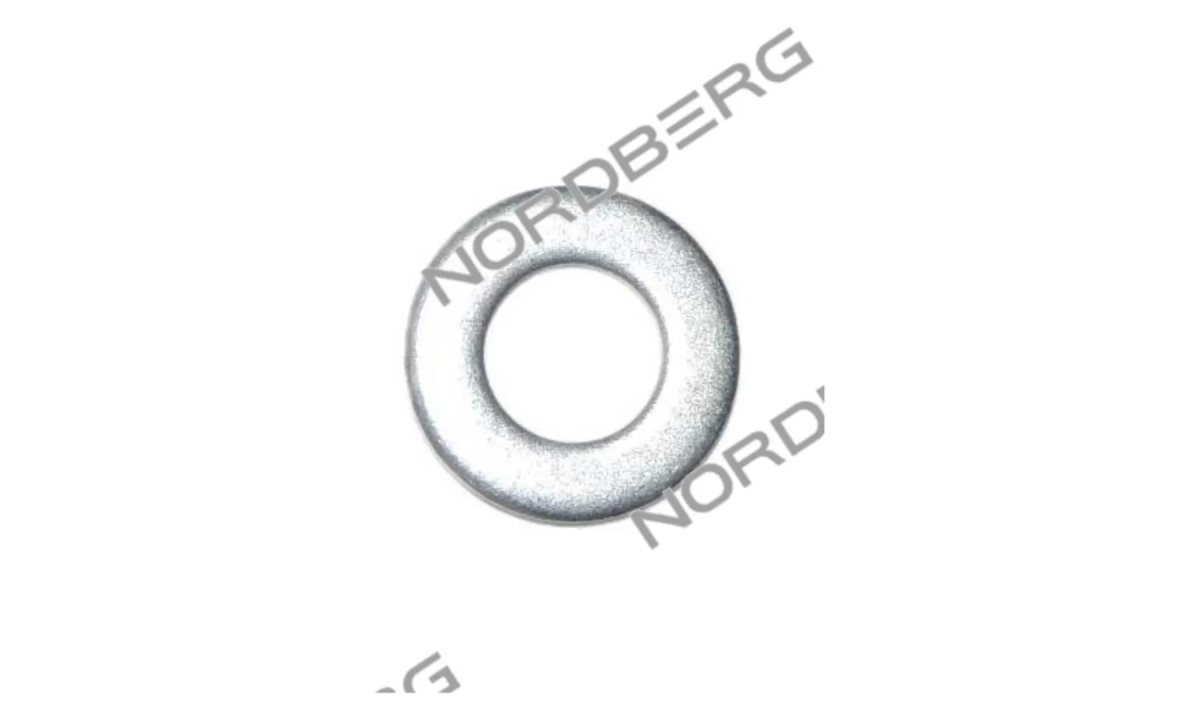  Шайба ?10*20*2 для NORDBERG 4641 X004225 (0)