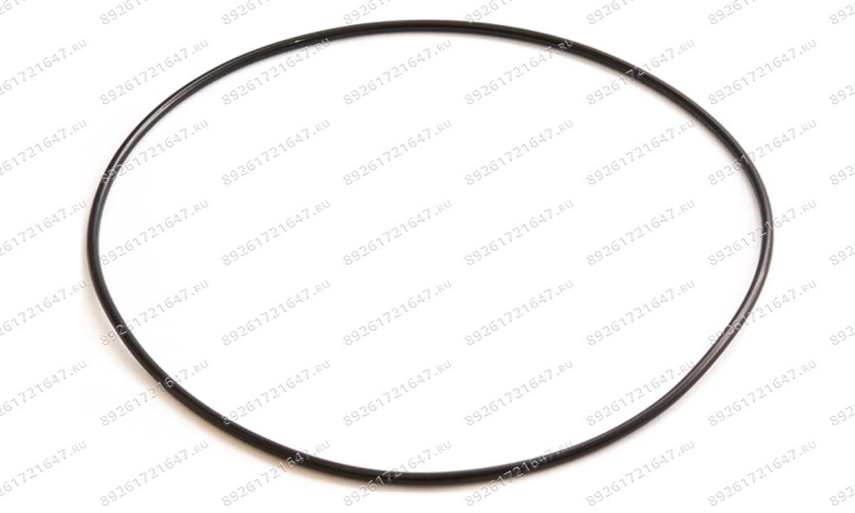  Манжета крышки цилиндра отжима 185×5.7 V124 (1)