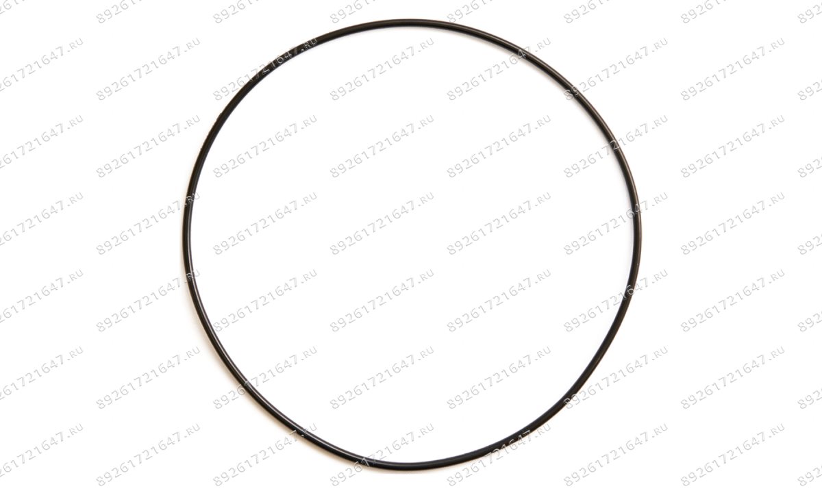  Манжета крышки цилиндра отжима 185×5.7 V124 (0)