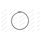  Уплотнительное кольцо цилиндра отжима V124 мни (0)