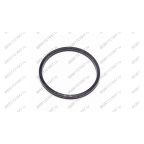  Уплотнительное кольцо поршня цилиндра отжима 170×185×11 V124 мни (0)